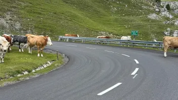 Die Kehren heißen Reidn