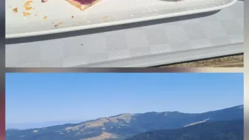 Tarte aux Myrtilles am Kastelberg